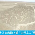 新しく発見されたペルーのナスカの地上絵が小学生の書いた落書きみたい。。